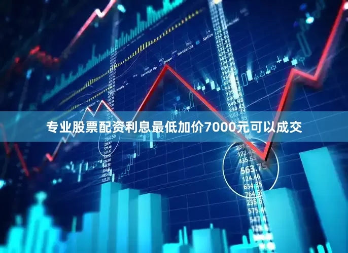专业股票配资利息最低加价7000元可以成交